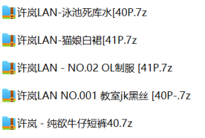 许岚LAN五套 （5*40P）120M（已压缩）