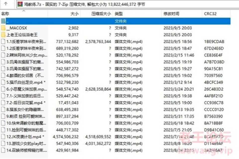 [合集] [自行打包] 鸡教练自整理合集 [17v+12.8G][百度盘]