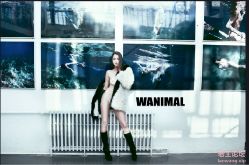 [国产模特] [自行打包] 圈内大牌人体摄影大佬【王动WANIMAL [900+p+12.9G][百度盘]