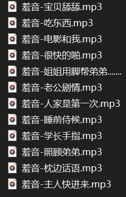 前b站up主喵羞提督资源重制版（12A,285mb)