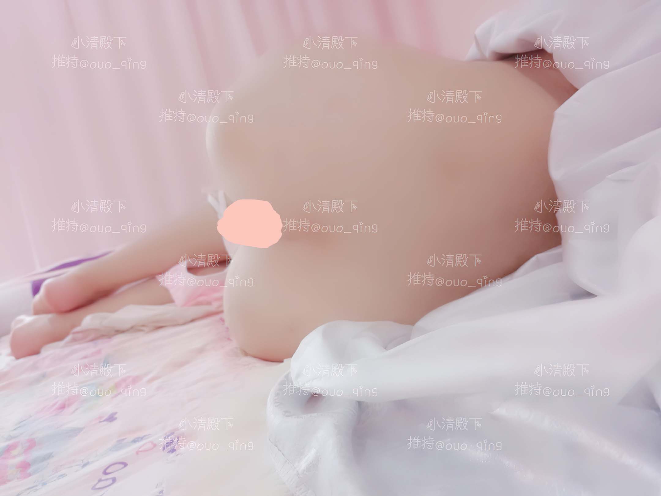 小清殿下 - 红楼梦【102P+2V】【286MB百度云】